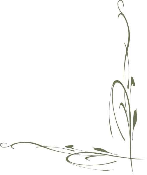 How To Set Use Dark Green Vine Clipart - Clip Art (504x598), Png Download