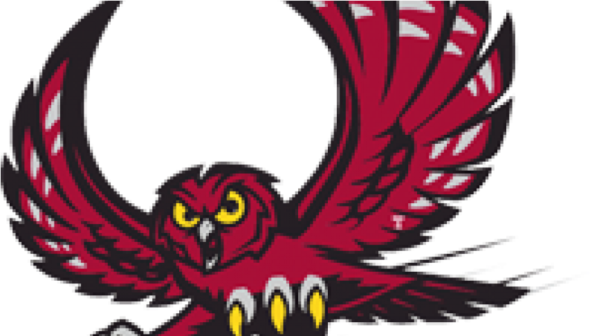 Temple-owls Itok=ww1q44wo - Temple Owl (860x485), Png Download