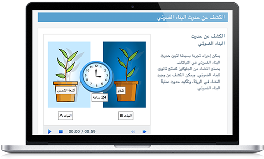Arabic-v2 - Genealogy (1500x700), Png Download
