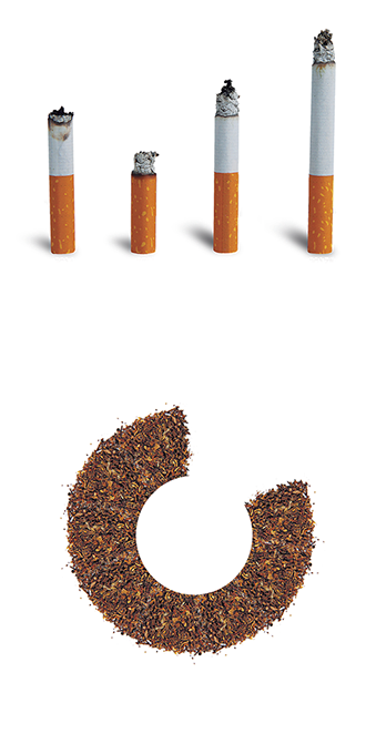 Sensação De Impunidade - Glass Bottle (339x680), Png Download