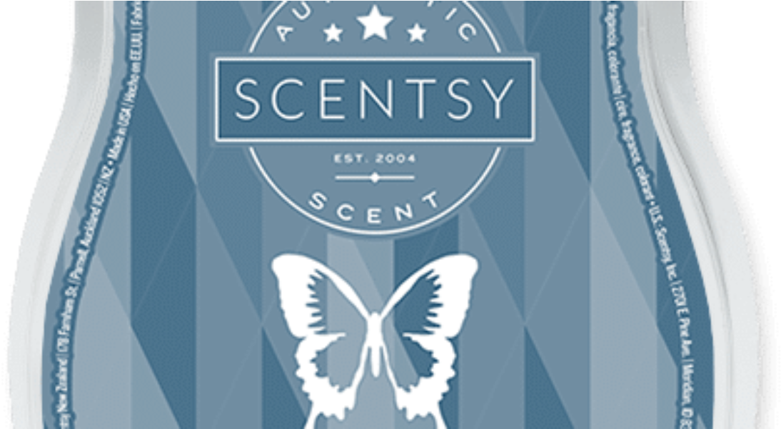 Mystery Man - Peppermint Rush Scentsy Bar (1620x600), Png Download
