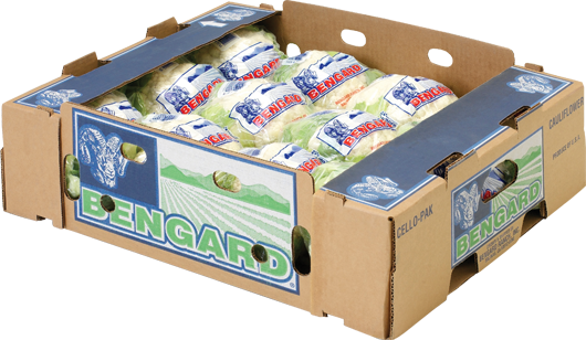 Cauliflower Jumbo - Cauliflower (530x308), Png Download