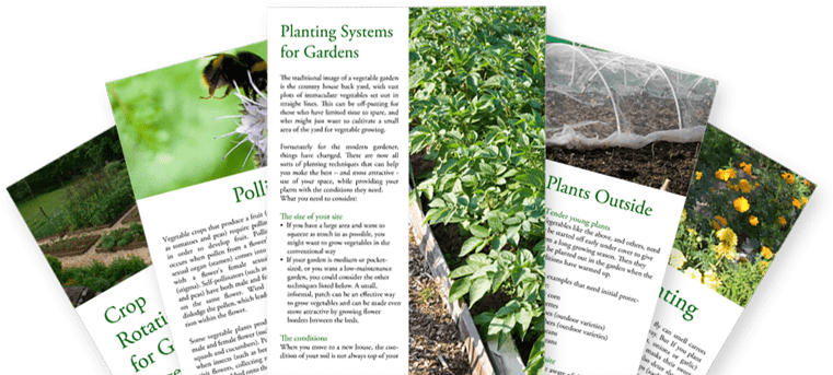 Veggie Gardening Guides And Tips - Gardening (842x386), Png Download