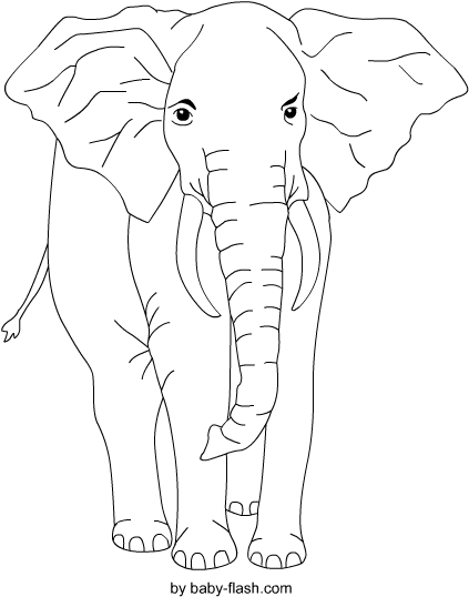 Illustration (567x680), Png Download