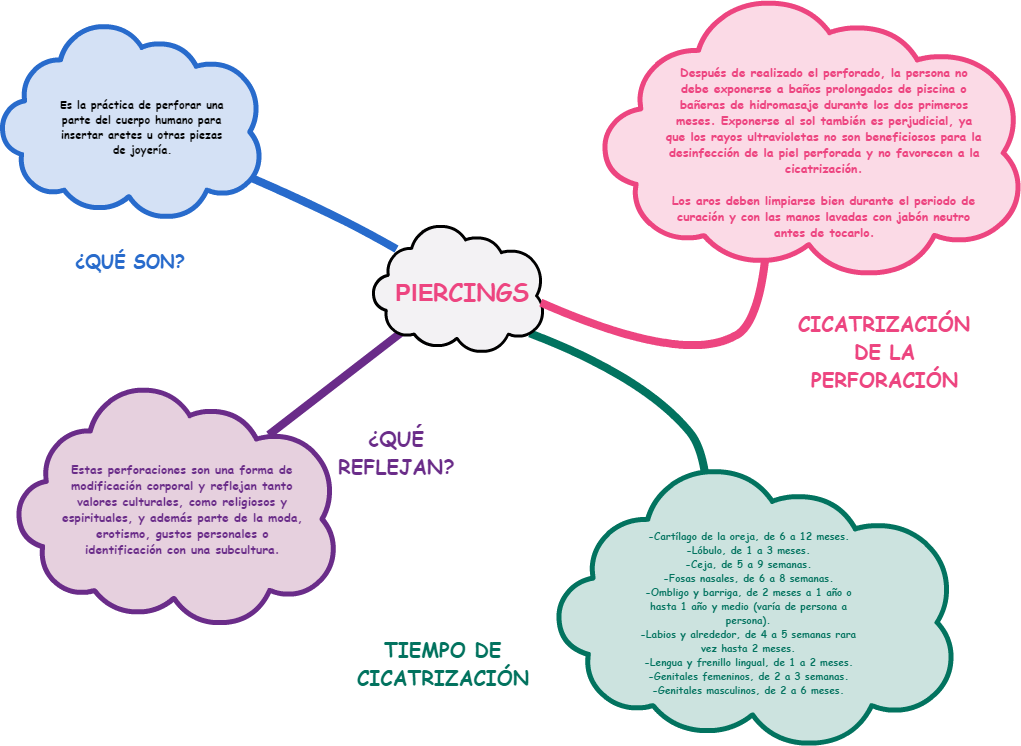 Mindmap Output Tiempo De Cicatrización Input ¿qué Reflejan - Body Piercing (1021x746), Png Download