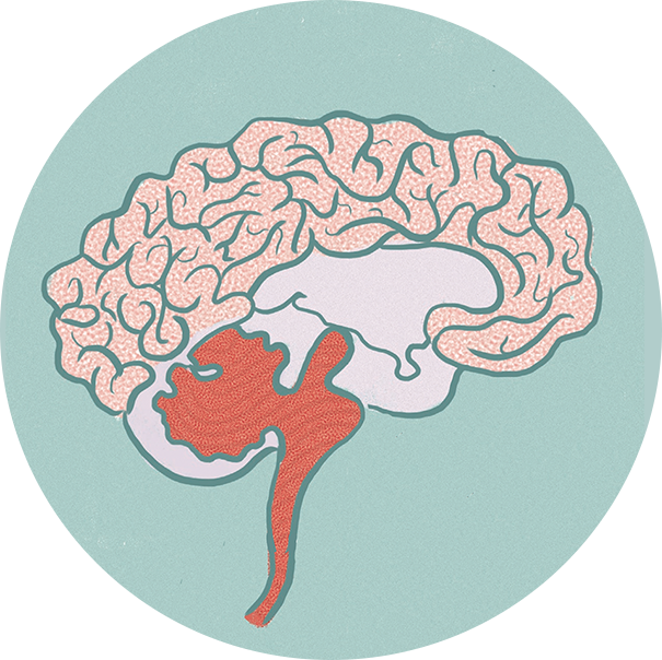 'using Simple Comics, Concise Explanations And A Healthy - Illustration (605x604), Png Download