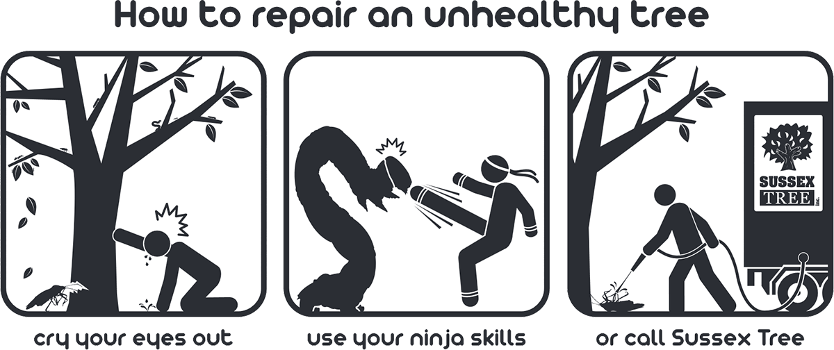 Plant Healthcare Cartoon - Illustration (1200x504), Png Download