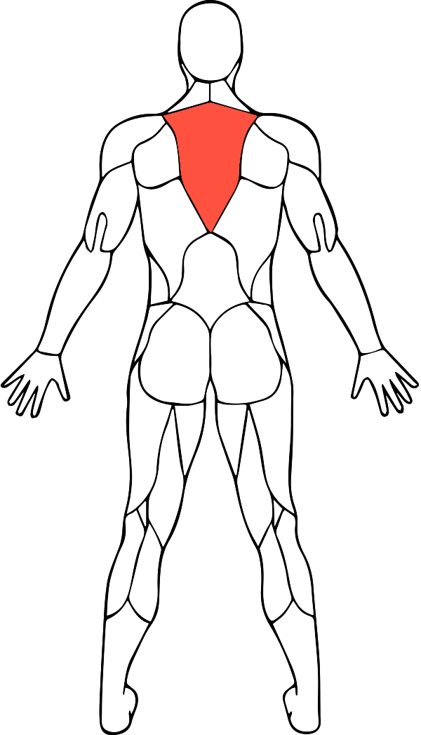 Middleback (600x1047), Png Download