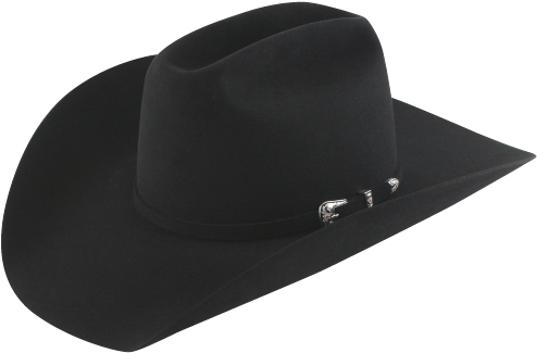 20x Punk Carter Signature Cowboy Hat - Texanas Resistol (599x599), Png Download