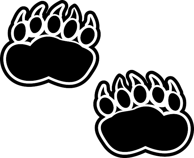 Black, Silhouette, Footprints, Bear, Claws, Paws, Paw - Bear Footprint (640x522), Png Download