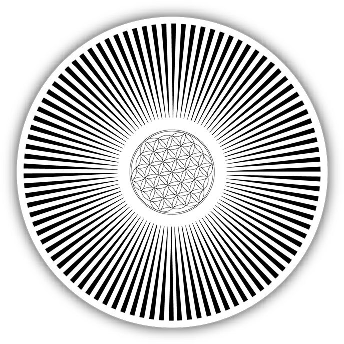 Flower Of Life - Adult Swim Owl Gif (720x720), Png Download