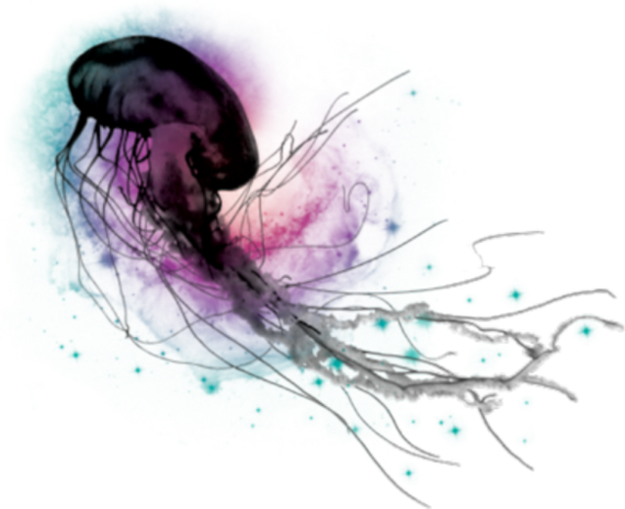 Jellyfish Psd (570x465), Png Download