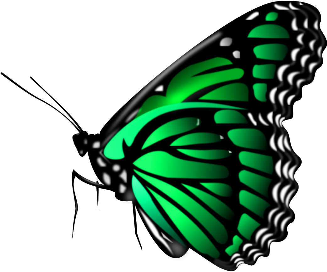 All New Editing Png Download, Picsart Png - Clipart Papillon (1600x1202), Png Download