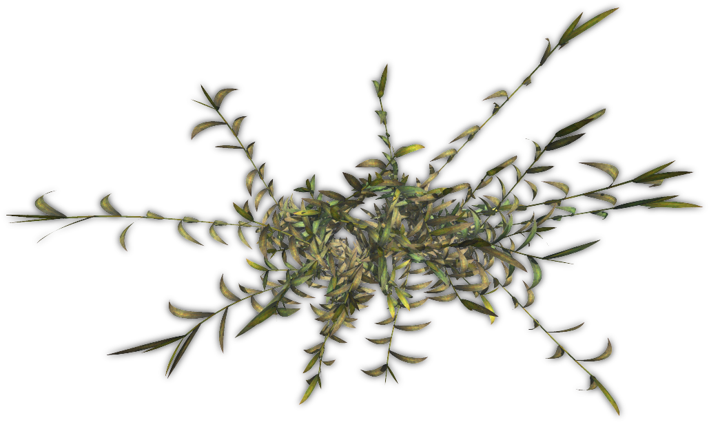 Free Icons Png - Hornwort (1042x682), Png Download