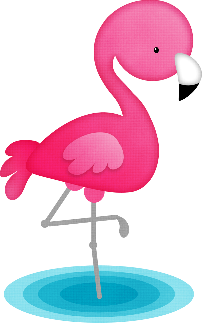 Birds Birdies Owls Pinterest - Cute Flamingo Clipart (802x1280), Png Download