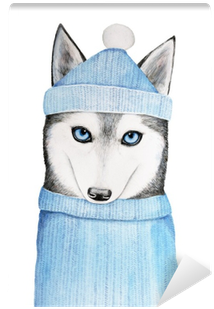 Cute Husky Dog In A Blue Winter Hat And Warm Sweater - Sweater (400x400), Png Download