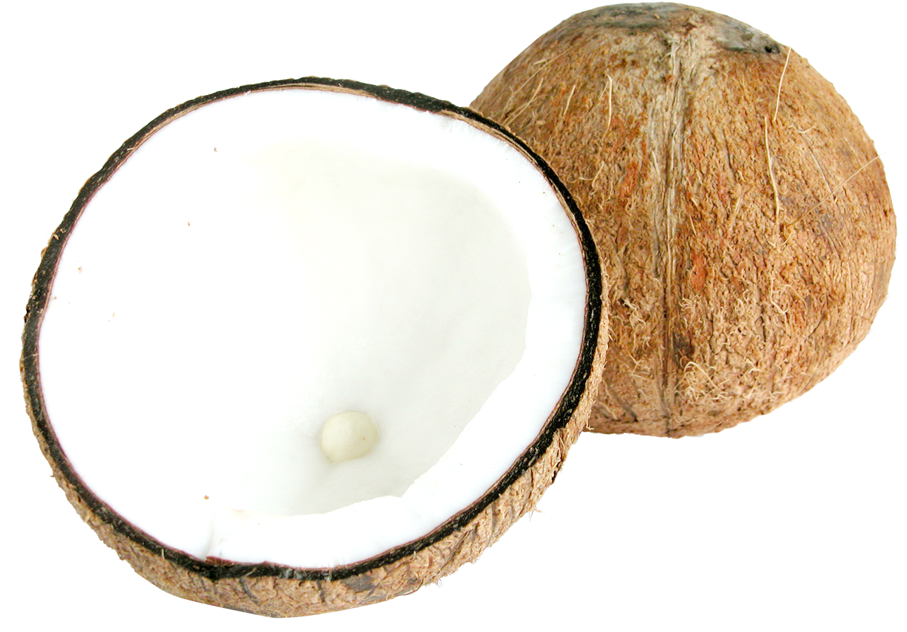 Half Coconut Png (1322x942), Png Download