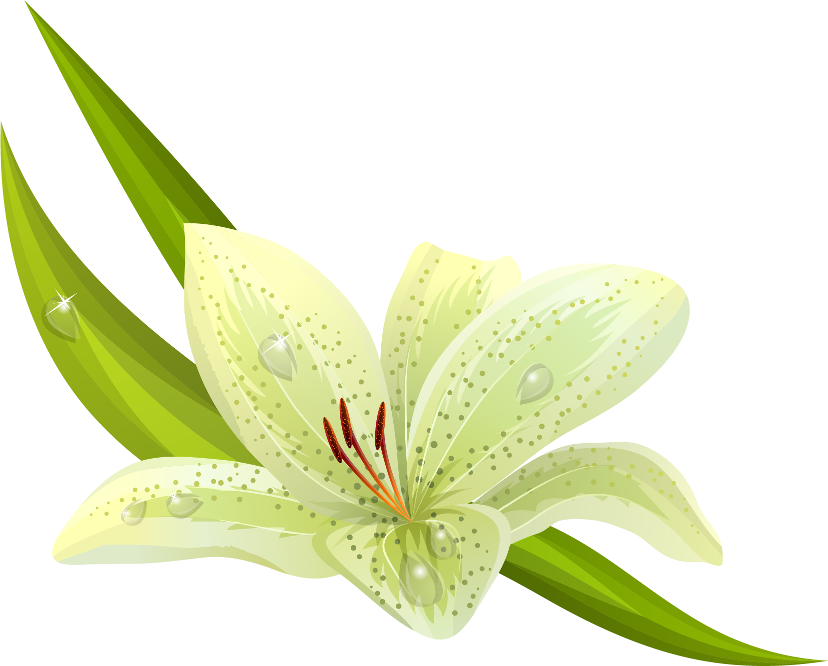 White Flowers Png Images - Yellow And Green Flower Clipart (1694x1360), Png Download