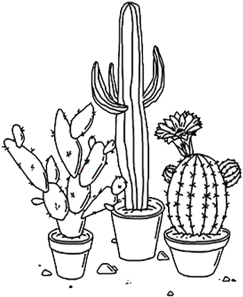 Cactus, Png, And Edit Image - Cactus Transparent (499x363), Png Download