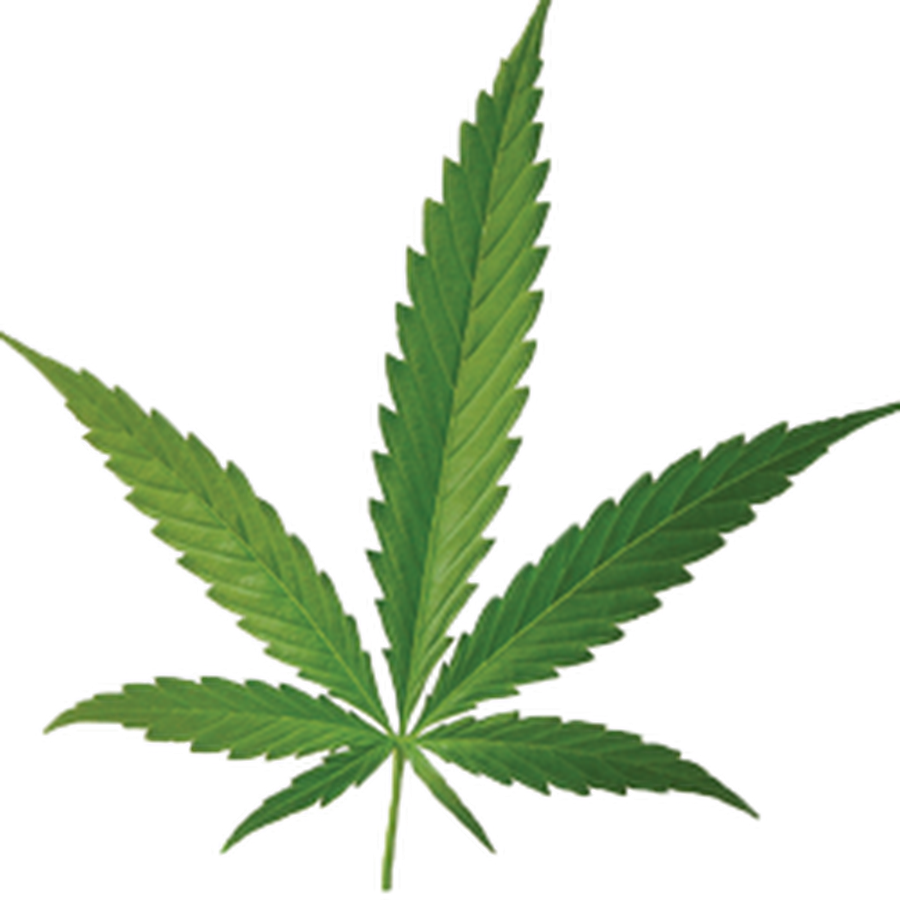 Download - Free The Weed Flask (900x900), Png Download