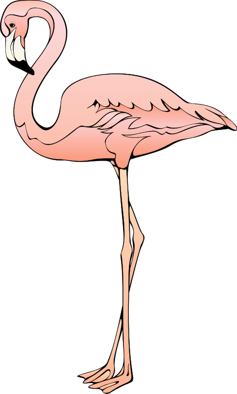 Flamingo 3 Svg Clip Arts 360 X 597 Px (360x597), Png Download