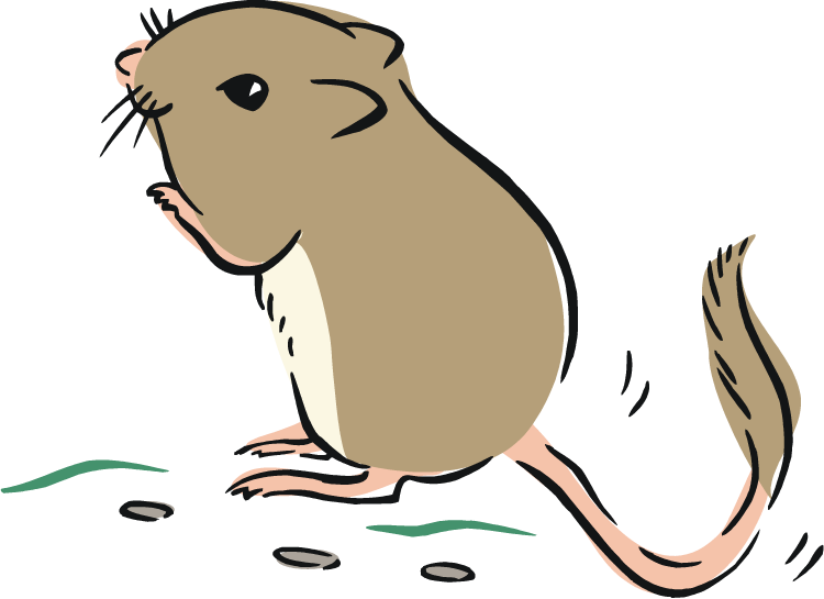 Zodiac Clipart Rat - Clip Art Gerbil (750x545), Png Download