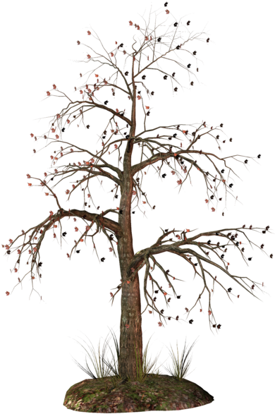 Download 0, - Transparent Background Dead Tree - HD Transparent PNG ...