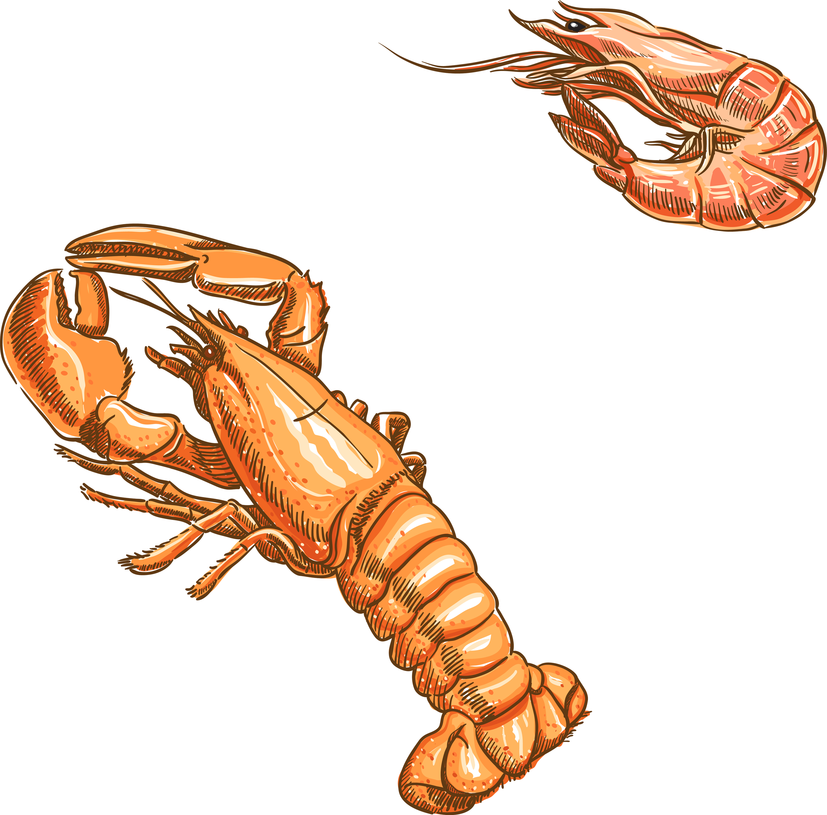 Free Stock Plateau De Fruits Mer Oyster Mussel Seafood - Seafood Drawing (2885x2842), Png Download