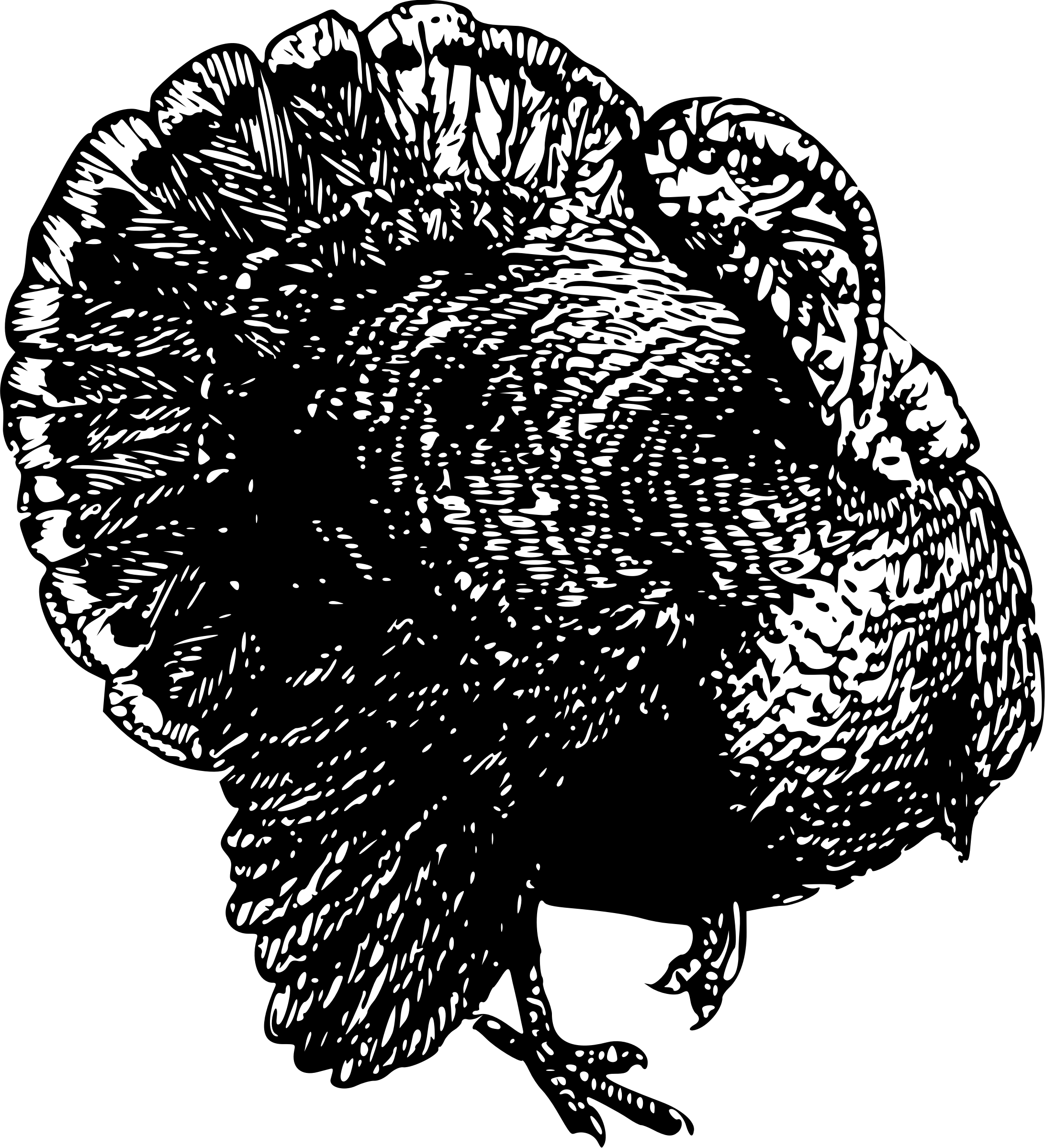 This Free Icons Png Design Of Turkey 3 (2183x2399), Png Download