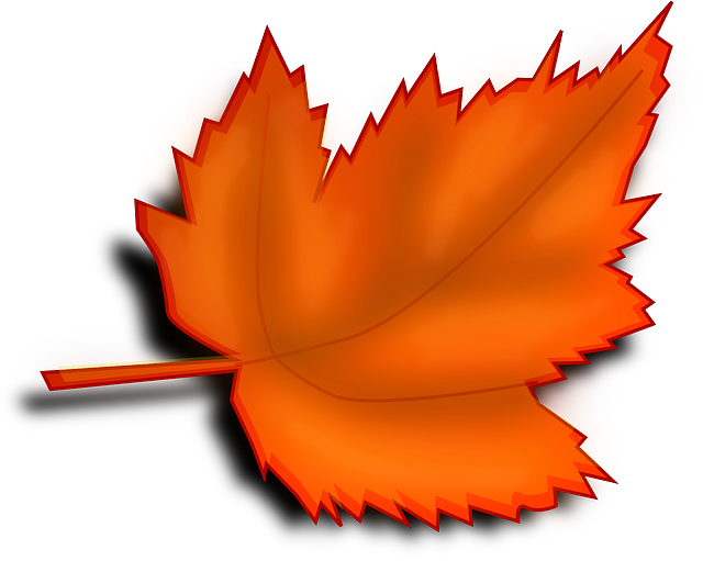 Maple, Autumn, Fall, Leaf, Orange, Shades - Frunze Toamna (640x511), Png Download