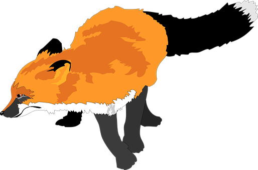 Fox Animal Wildlife Orange Coat Black Whit - Sly Fox Sticker (514x340), Png Download