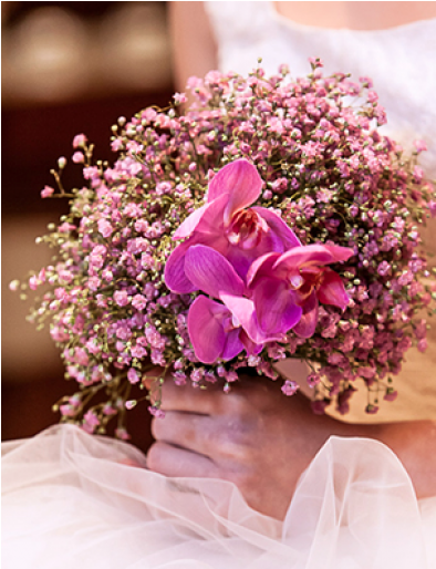 Orchids (600x513), Png Download