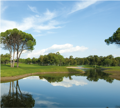 Mystic® Lake Blue Liquid Dyes Transform The Pale, Dirty - Electric Battery (400x489), Png Download