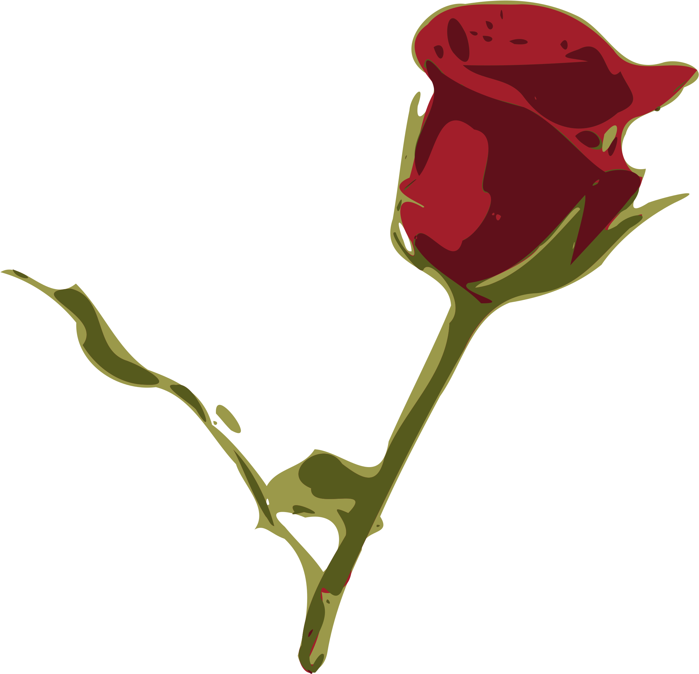 Rosa Png (2400x2316), Png Download