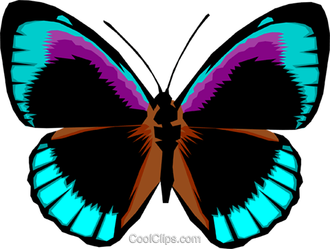 Butterfly Royalty Free Vector Clip Art Illustration - Cool Butterflies (480x362), Png Download