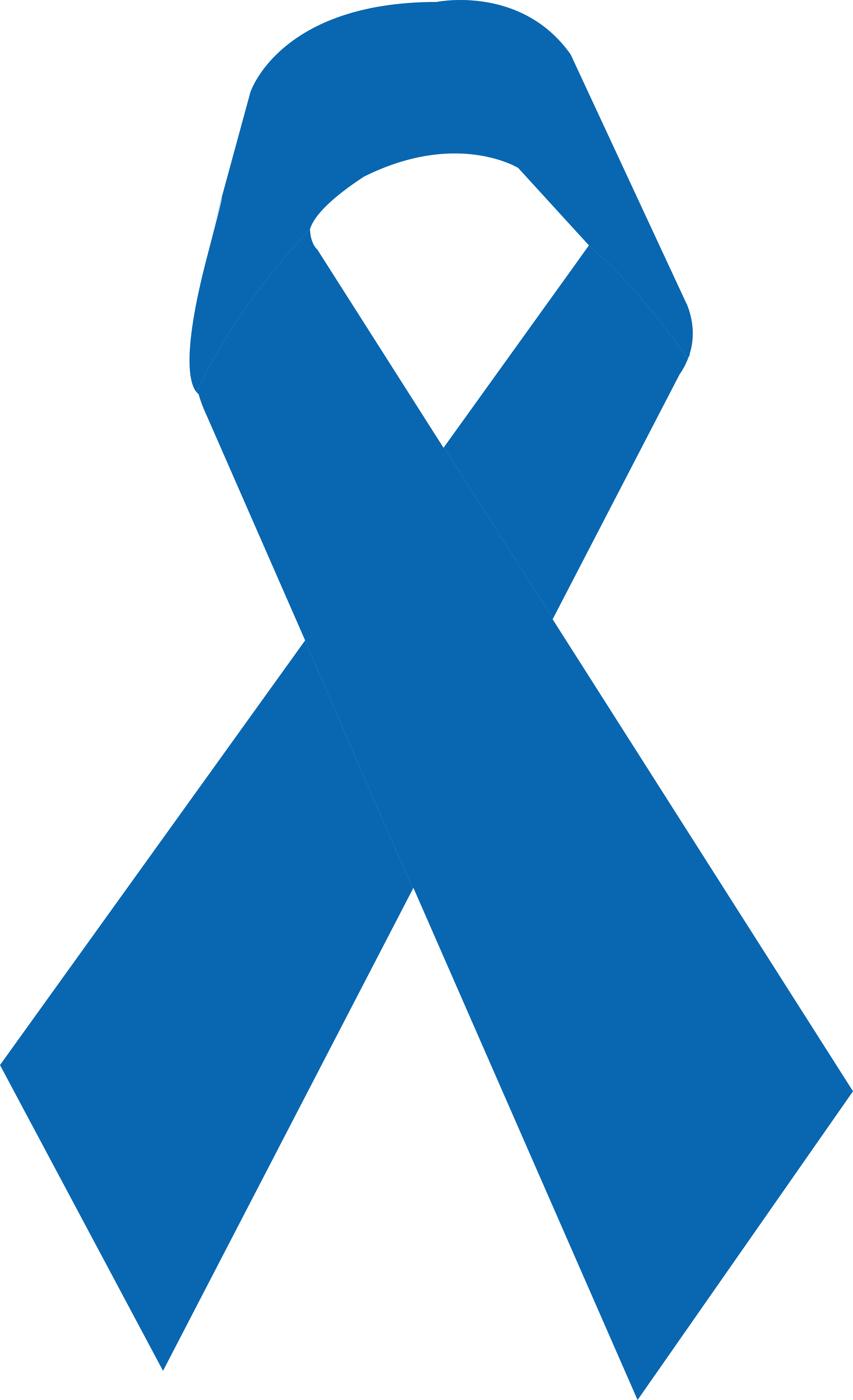 Laço De Fita Azul - Colorectal Cancer Awareness Month (3500x5742), Png Download