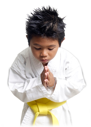 Karate Boy - Respect Karate (316x439), Png Download