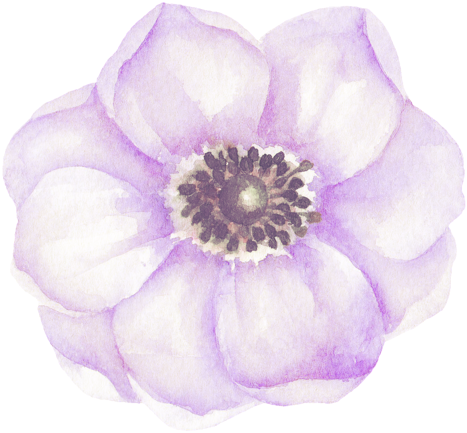 Lavender Beautiful Flower Transparent Decorative - Purple (1024x956), Png Download