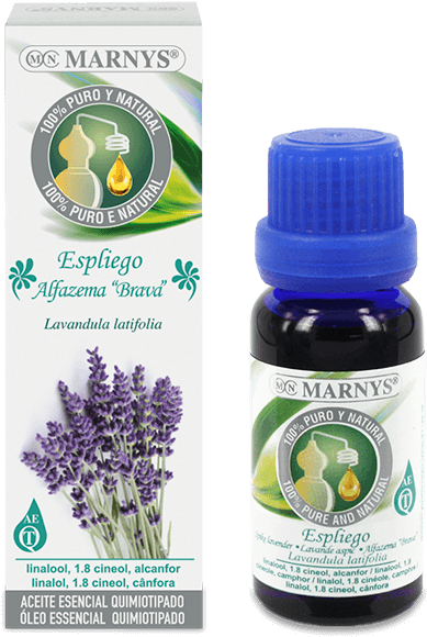Spike Lavender Essential Oil - Aceite De Anis De Estrella (768x768), Png Download