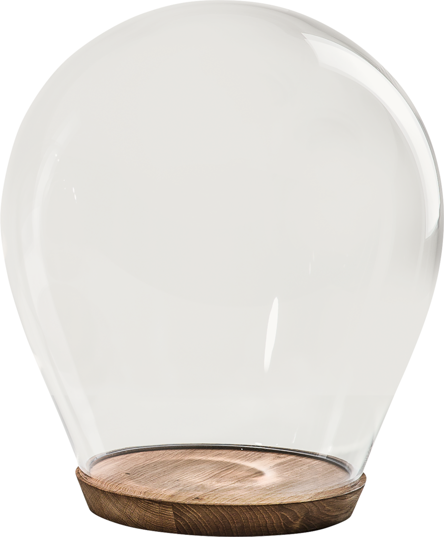Glass Dome Hand Blown On Wood Base 33 Cm - Chair (893x1080), Png Download