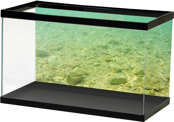 Aquariumvinyl Stonyriverbed (800x800), Png Download