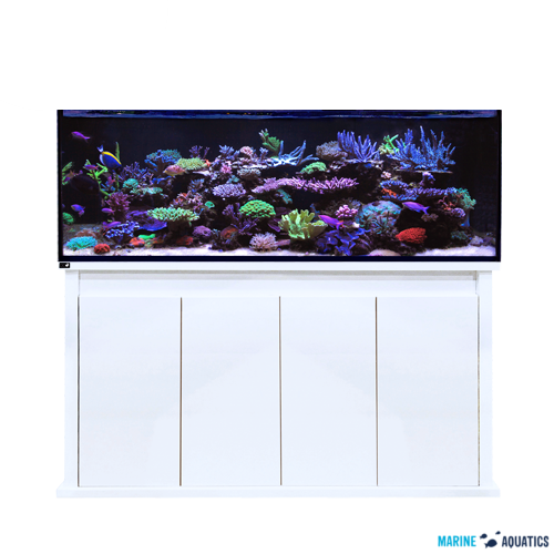D D Reef Pro 1500s - Reef Aquarium (500x500), Png Download