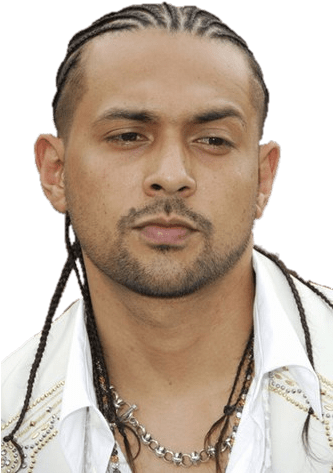Download - Sean Paul (332x500), Png Download