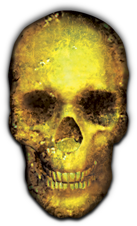 24 Mar 2009 - Gold Skull And Bones Transparent (503x800), Png Download