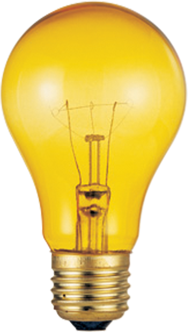 Tipo De Bombillo - Incandescent Light Bulb (700x700), Png Download