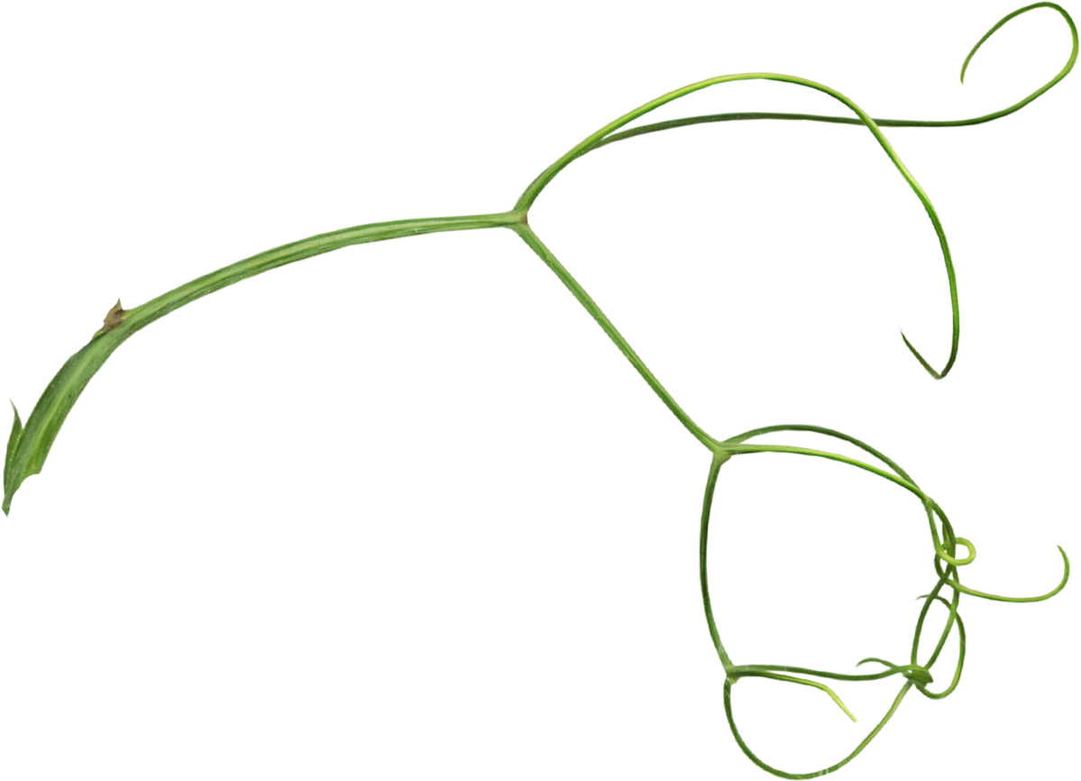 0 1f2595 Bfe462f9 Orig - Portable Network Graphics (1199x866), Png Download