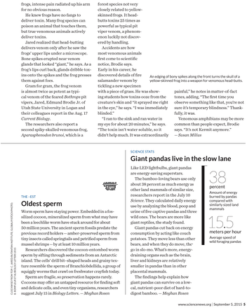 Alphabetized Bible (380x491), Png Download