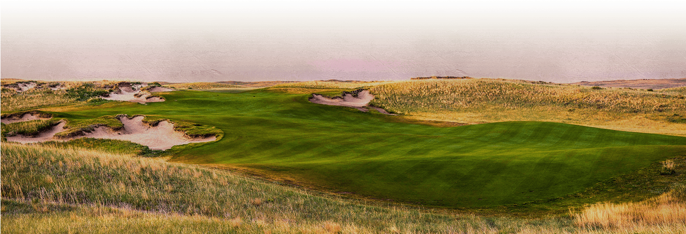 Horse Course - Grass (1400x547), Png Download