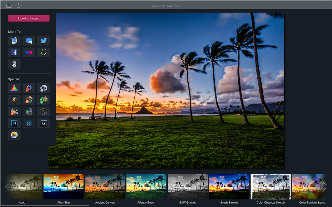 Macphun Launches Filters For Photos Free App For Mac - Palm Trees & Sunset - Lantern Press Photography (1200x900), Png Download
