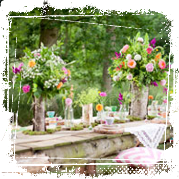 Prices Start From £3,000 - Garden Roses (350x350), Png Download